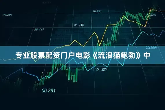 专业股票配资门户电影《流浪猫鲍勃》中
